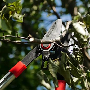 Можливості