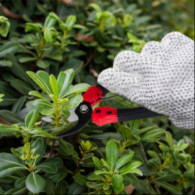 Призначення