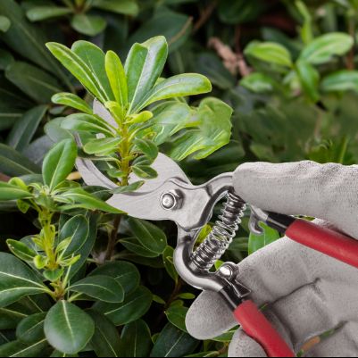 Призначення