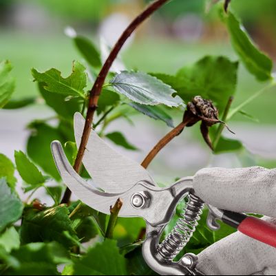 Зручність в роботі