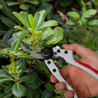 Призначення