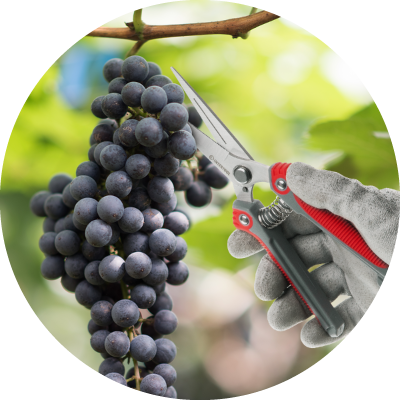 Призначення