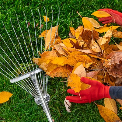 Эффективная уборка