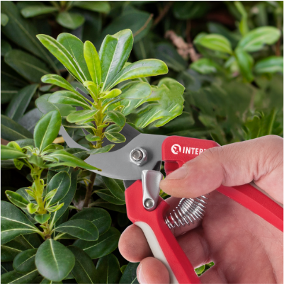 Призначення