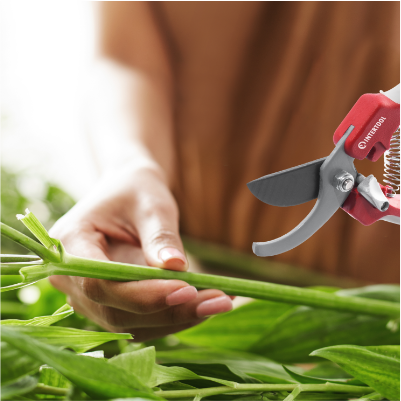 Надійна та зносостійка конструкція