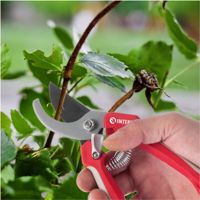 Комфорт в роботі