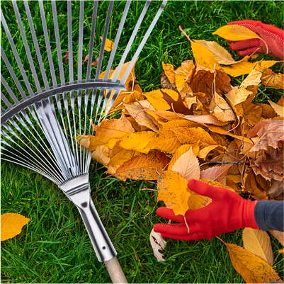 Эффективная уборка